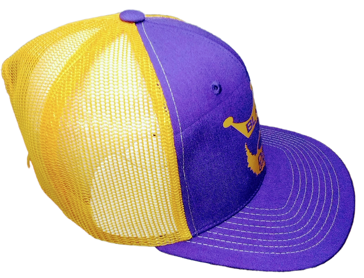 Gold ,White and Purple Black dad hat